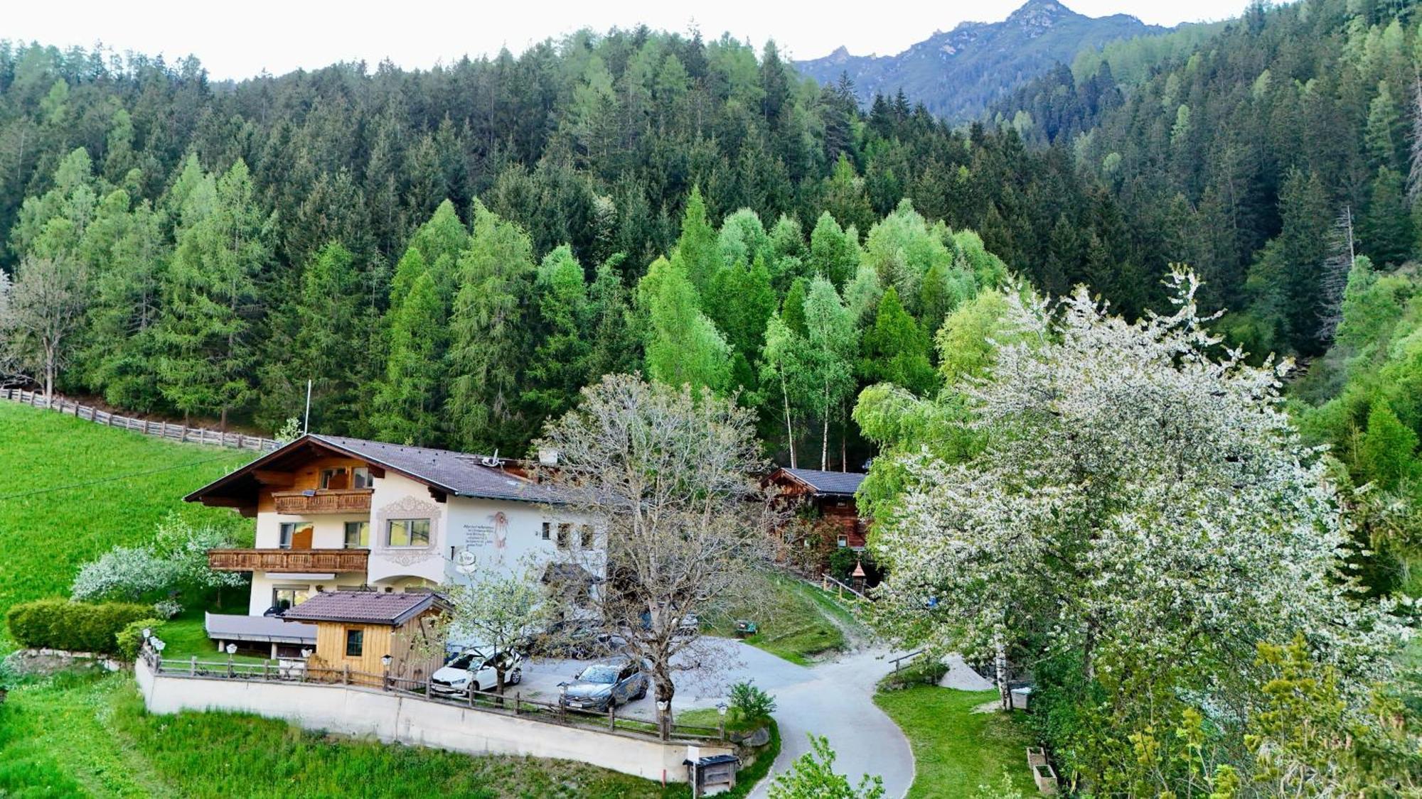 Pension Riese Neustift im Stubaital Buitenkant foto